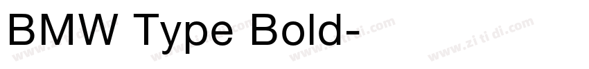 BMW Type Bold字体转换
